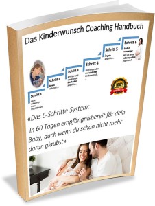 6-schritte-system-cover-772x1024-min