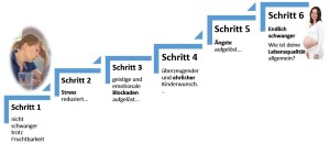 6-schritte1