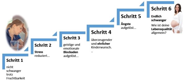 6-schritte1