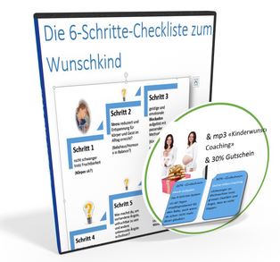 ecover_6-schritte-checkliste-website